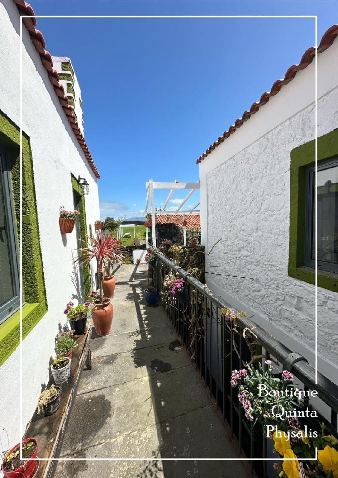 Boutique Quinta Physalis Lägenhet Fenais da Luz Exteriör bild